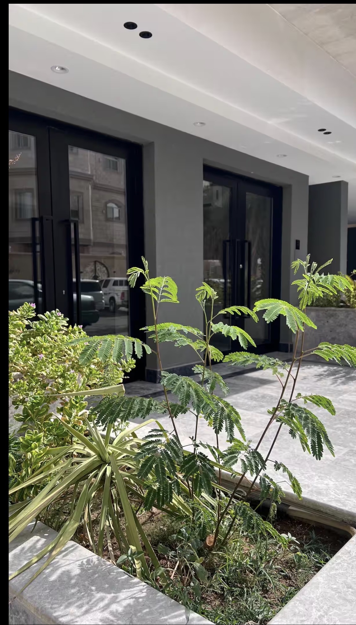 Saba Homes