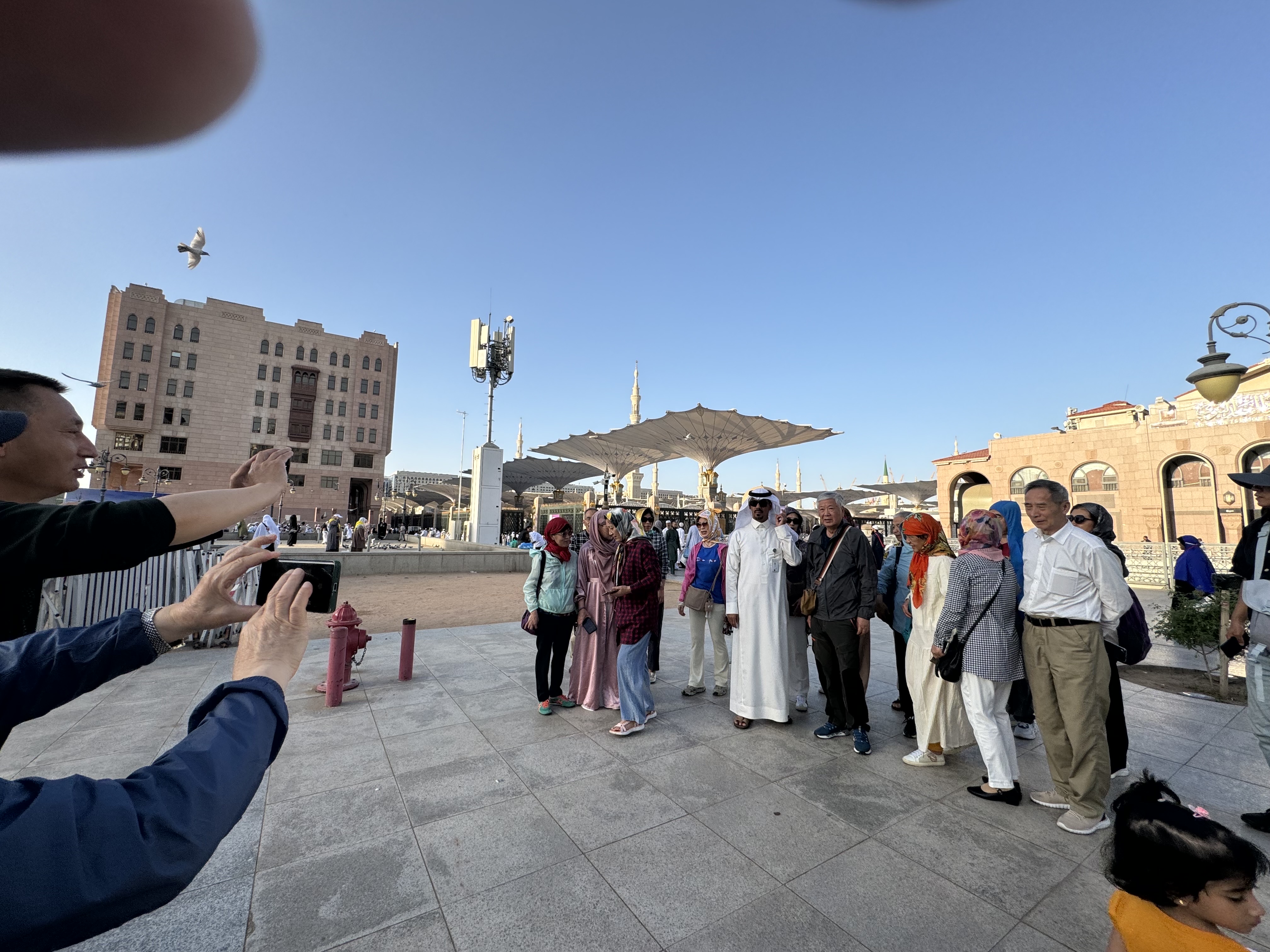 ارشاد سياحي
