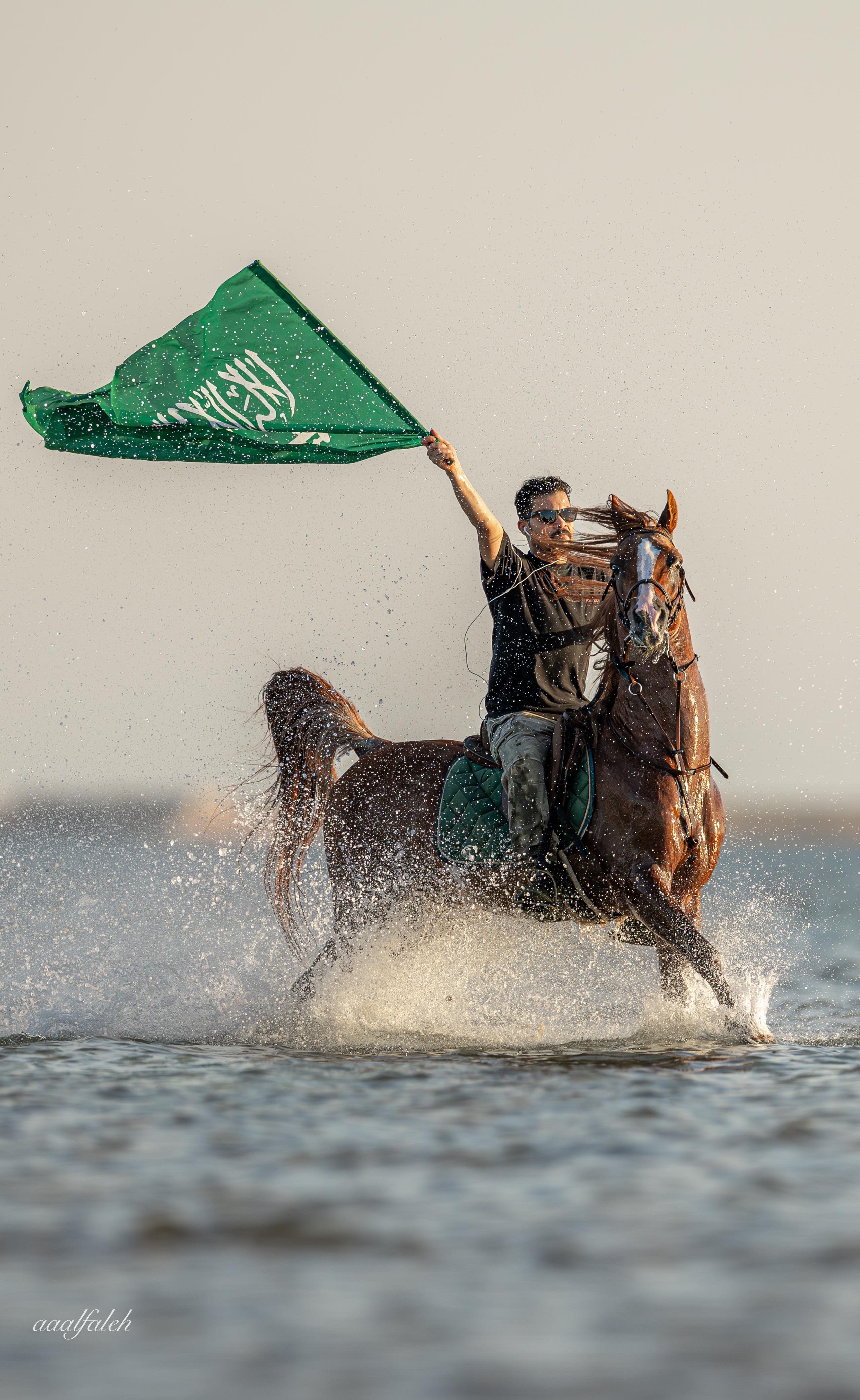 مربط الغروب للخيول