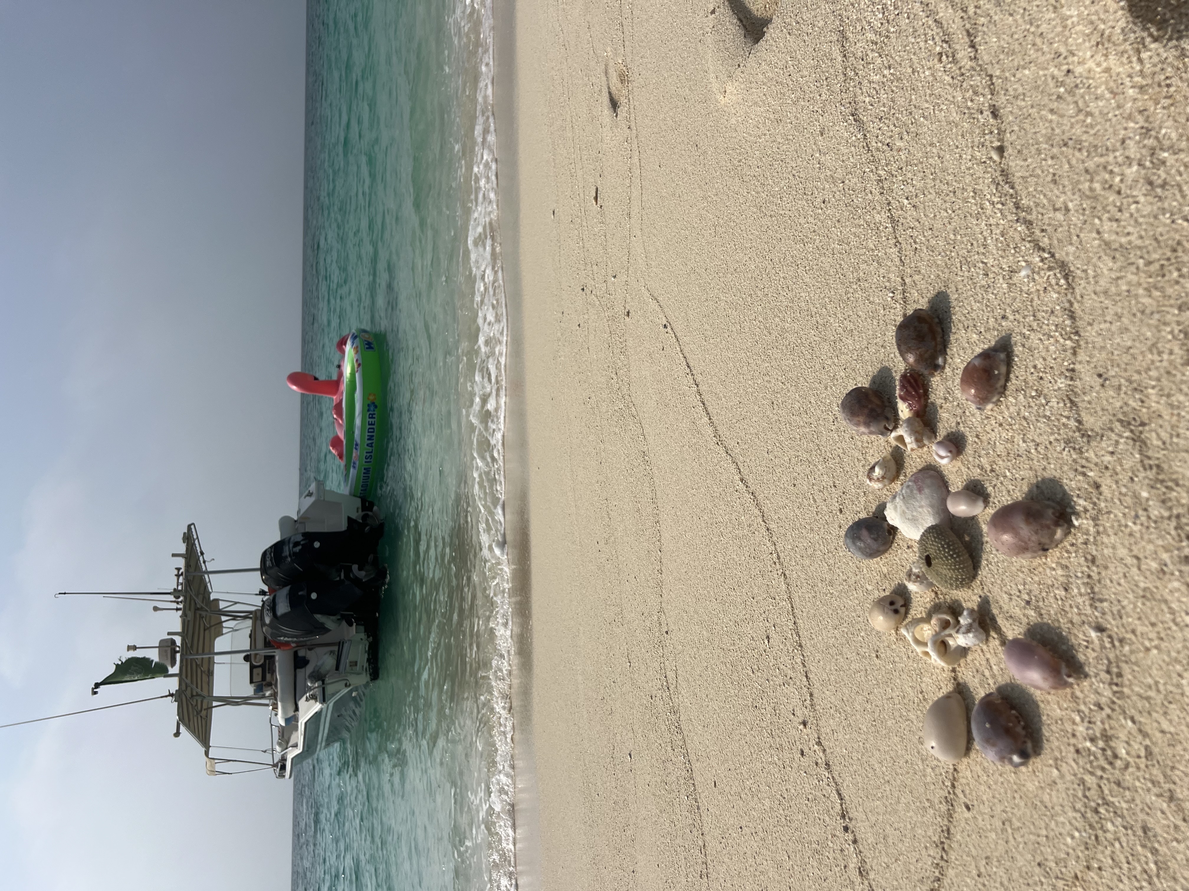 طير حوران