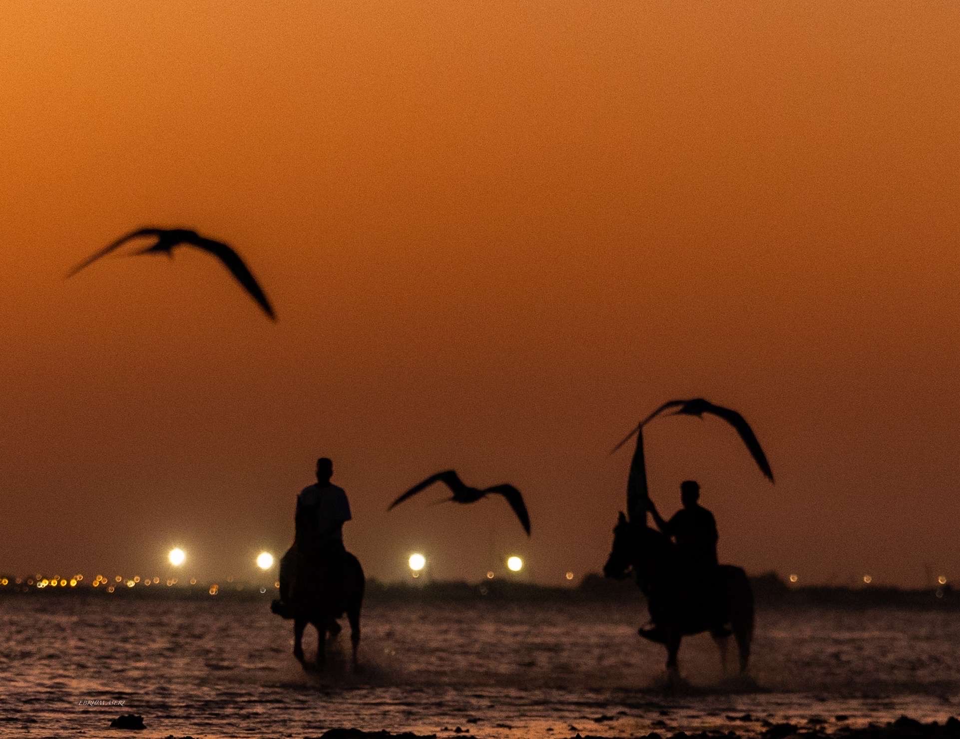 مربط الغروب للخيول
