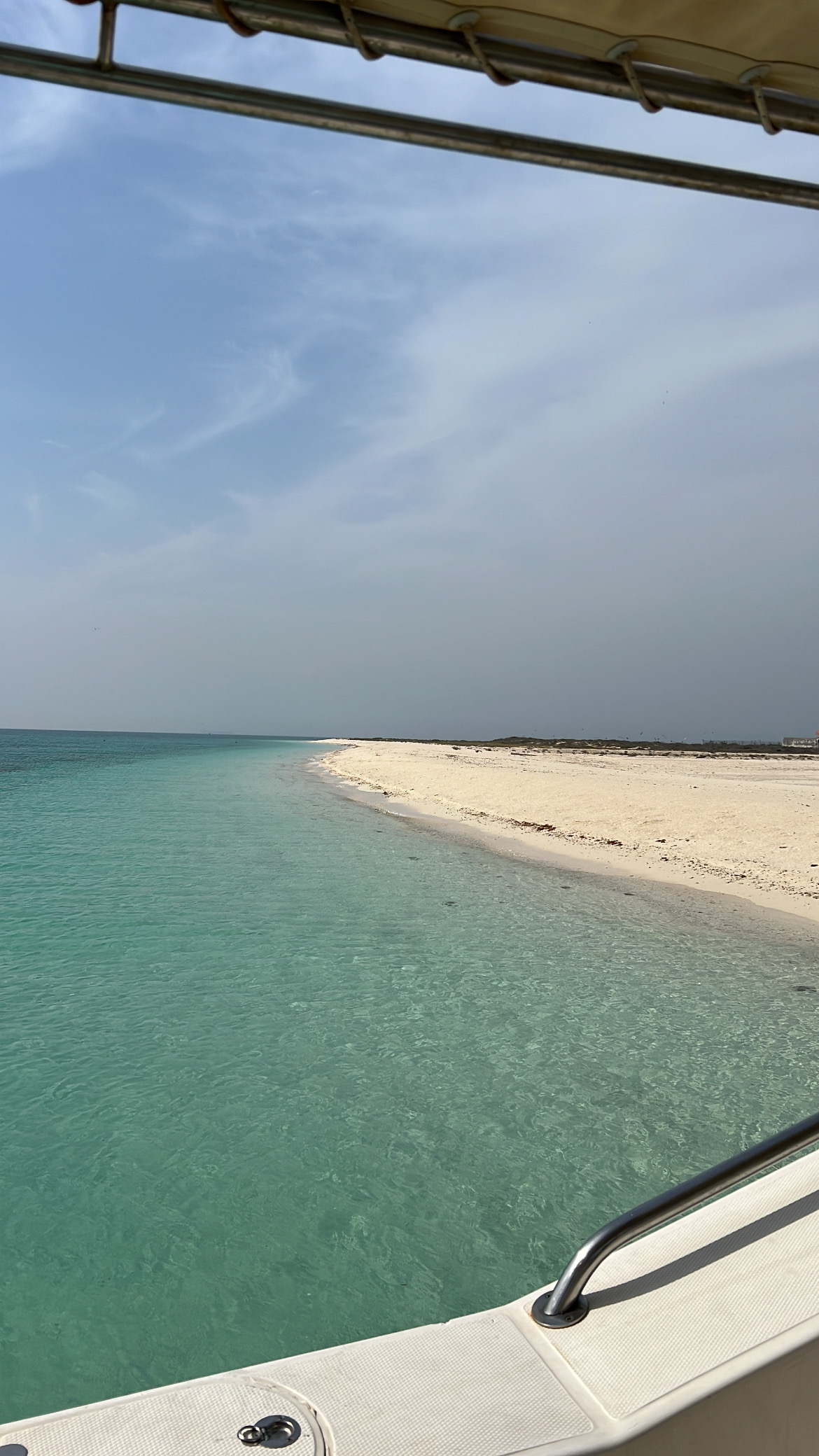 طير حوران
