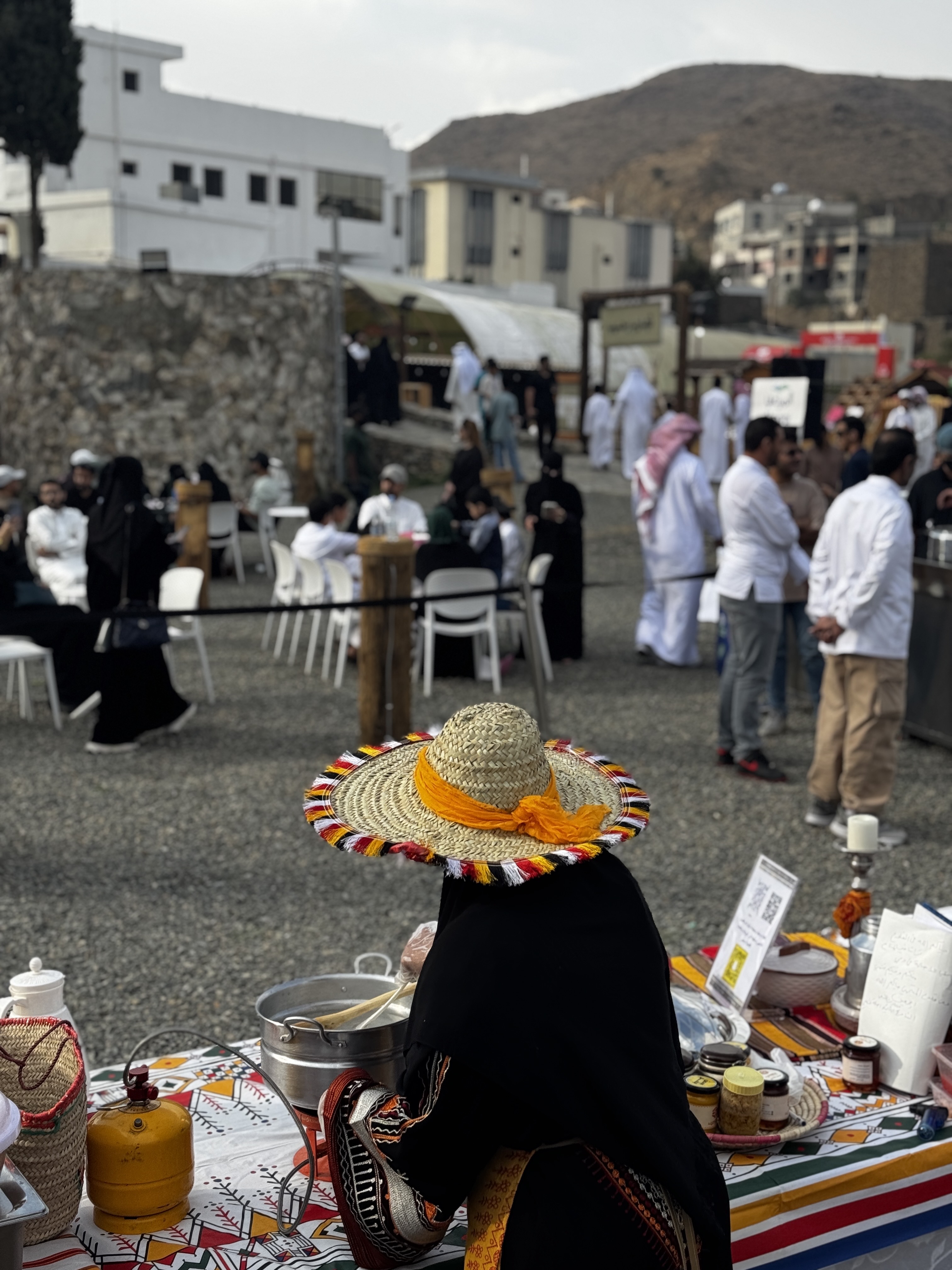 مرشد سياحيabha tours